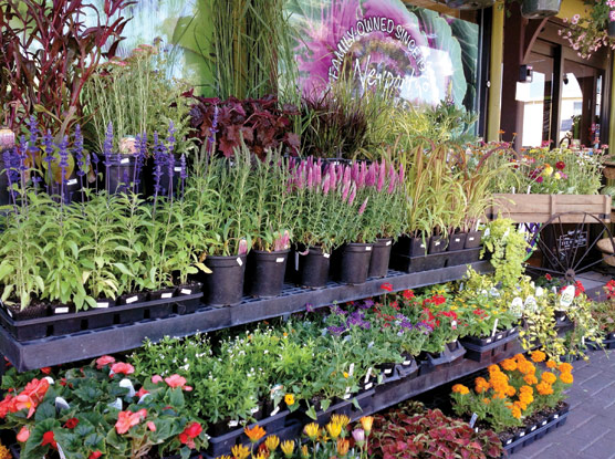 The floral industry imports 80% of the flowers it sells, but some retailers have seen the value of locally grown options.