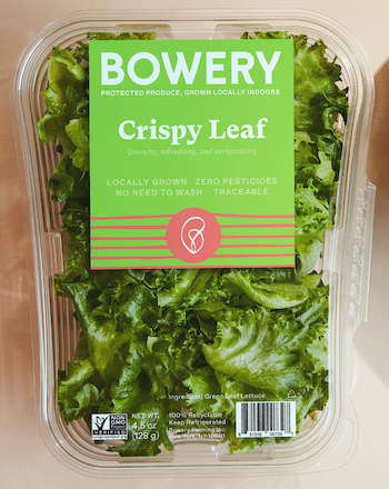 Bowery Farming-Crispy Leaf lettuce.png