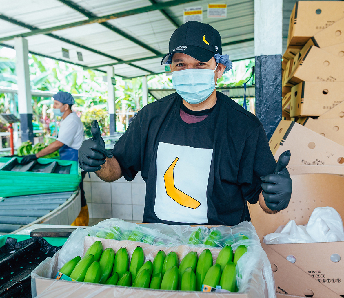 Buy Organic Fair Trade Bananas For Delivery Near You