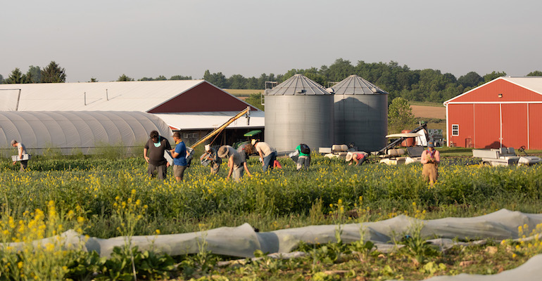 Rodale Institute organic farm-workers.jpg