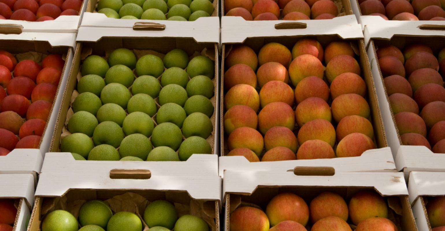 Sustainable Packaging: Greening Food Supply Chains