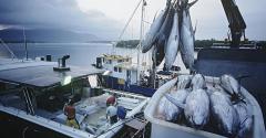 fishing-ocean-boat-promo-getty.jpg