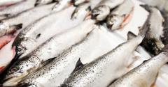 Avoid the bait and switch of seafood fraud