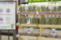 Kroger-80_Acres_Farms-store_display.png