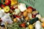 Retailer resources for reducing food waste