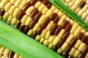 FMI, GMA applaud Senate agreement on national GMO labeling standard 