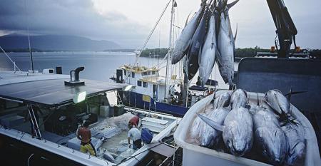 fishing-ocean-boat-promo-getty.jpg