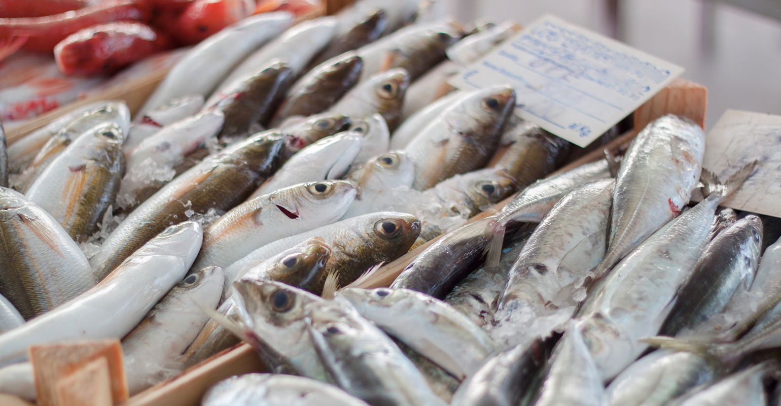 U.S. progress on seafood fraud lags E.U.: Report | Supermarket News